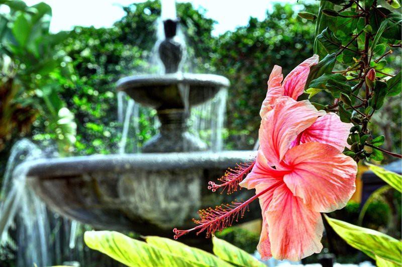 Courtyard By Marriott Bradenton Sarasota/Riverfront Ngoại thất bức ảnh