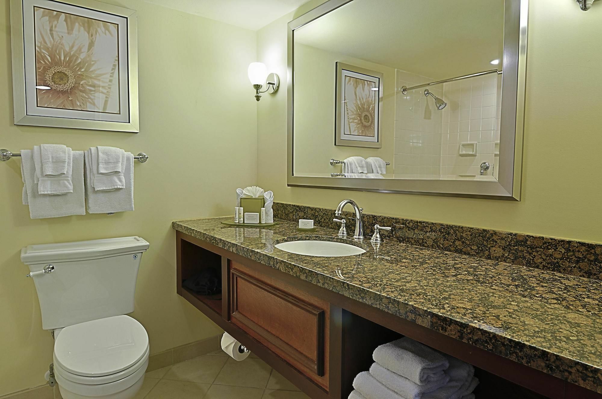 Courtyard By Marriott Bradenton Sarasota/Riverfront Ngoại thất bức ảnh